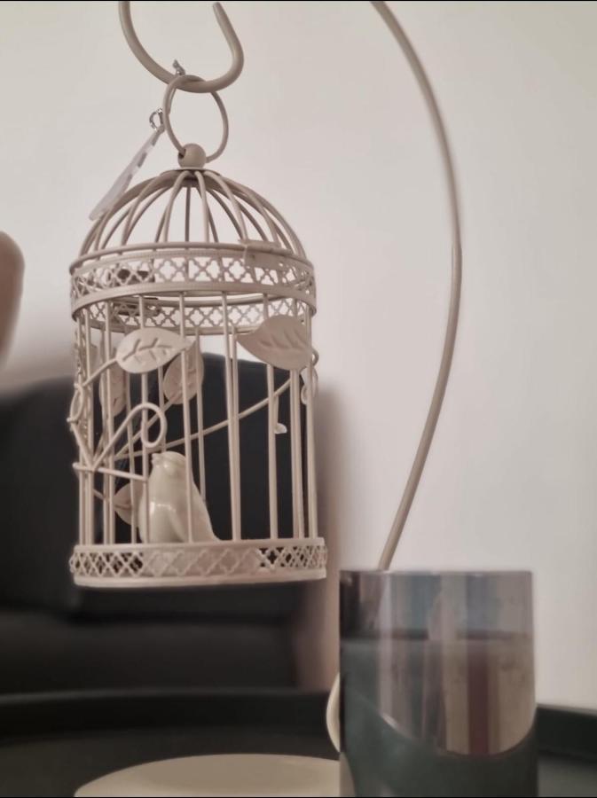 Stella Apartment Sibenik Charm&History United Bagian luar foto