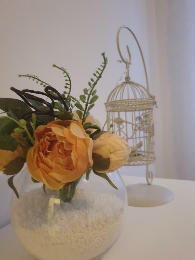 Stella Apartment Sibenik Charm&History United Bagian luar foto
