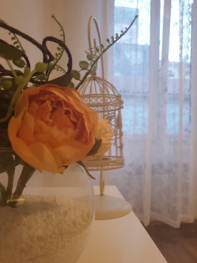 Stella Apartment Sibenik Charm&History United Bagian luar foto