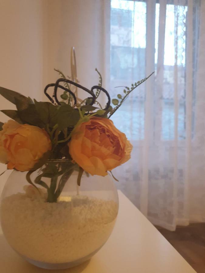 Stella Apartment Sibenik Charm&History United Bagian luar foto